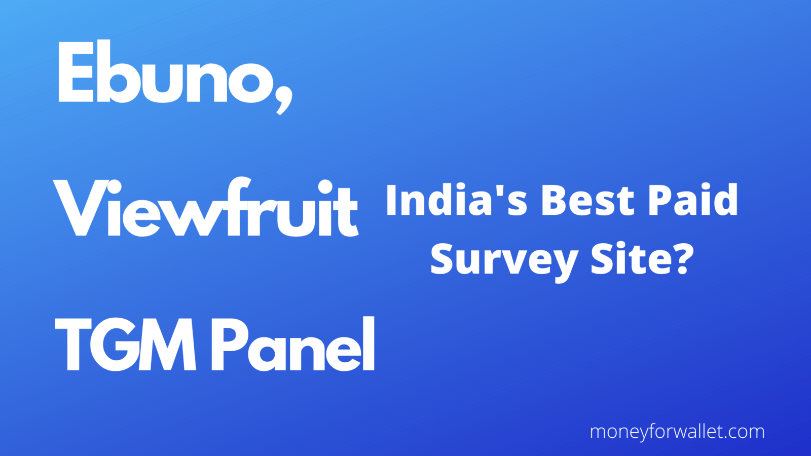 Ebuno, Viewfruit and TGM Panel Review: India's Best Paid Survey ...