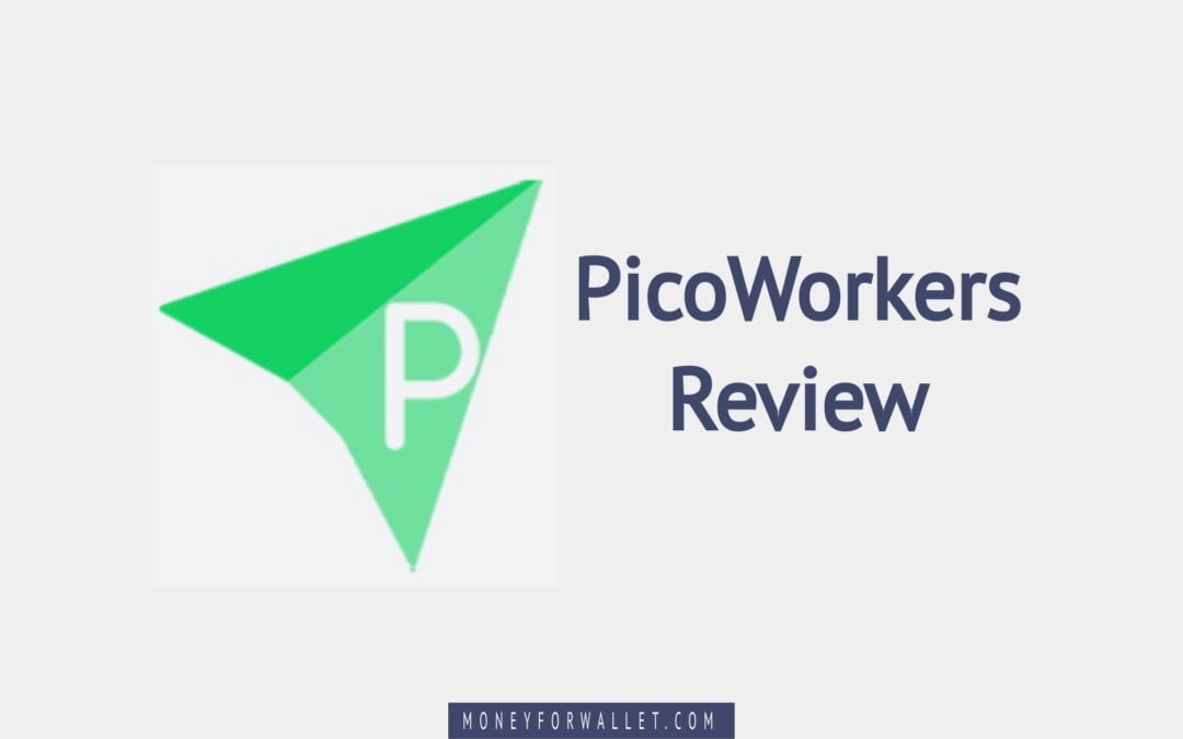 PicoWorkers Review