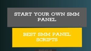 Cómo iniciar su propio sitio web del panel SMM: 6 sencillos pasos