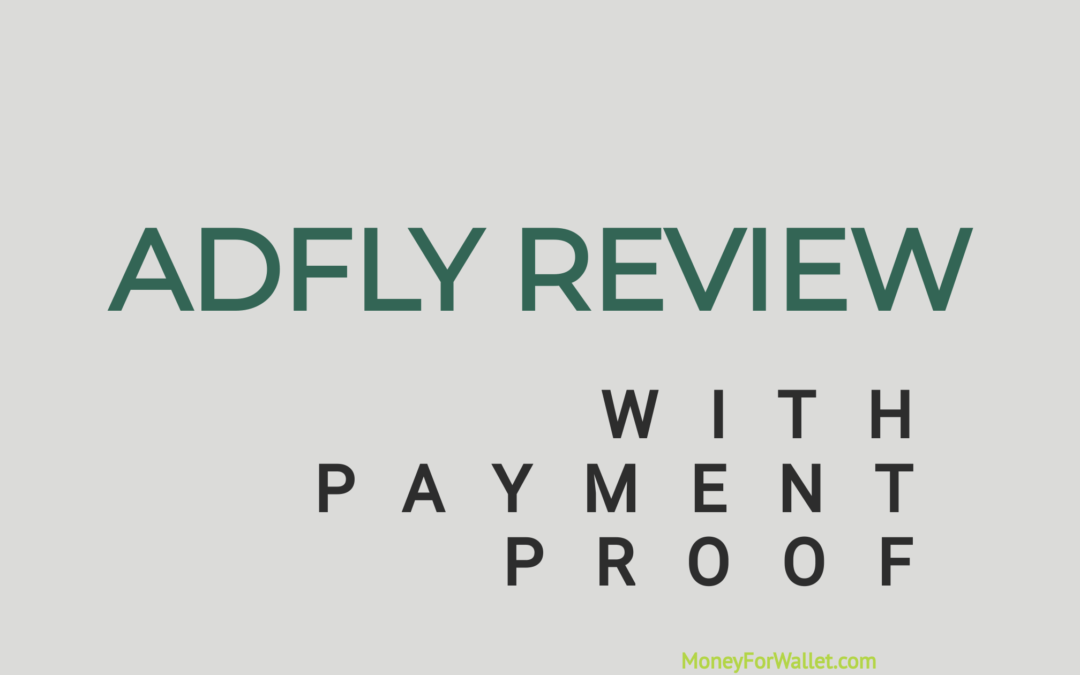 ADFLY REVIEW