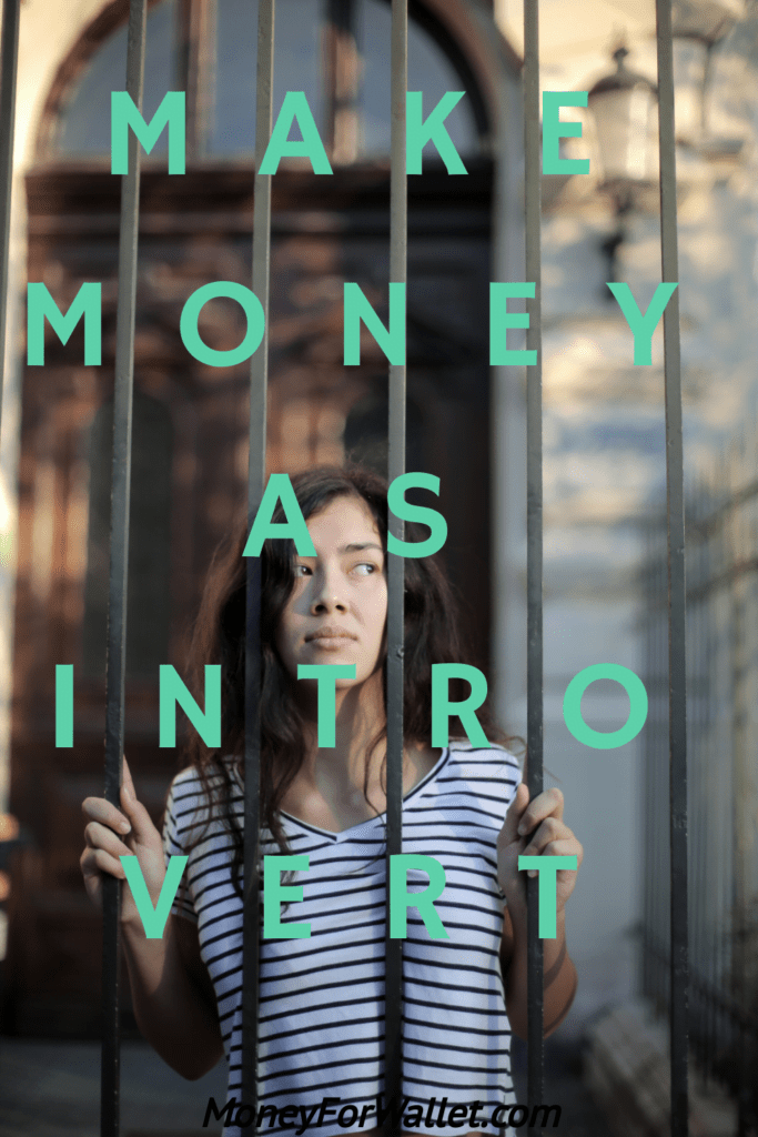 How To Make Money Online As An Introvert