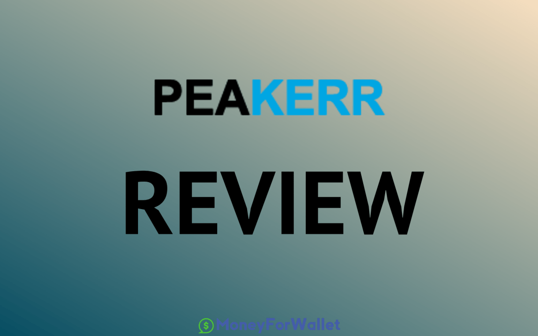 Peakerr Review – Trusted SMM Reseller Panel Or Not?